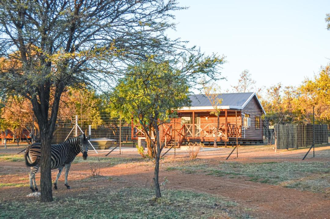 Photo of Others in Hammanskraal