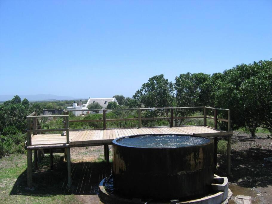 Photo of Others in Cape Agulhas