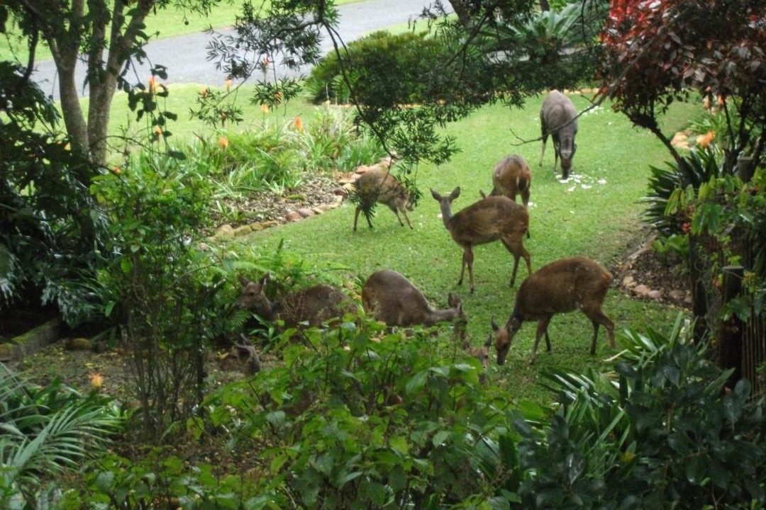 Photo of Others in Lake Brenton