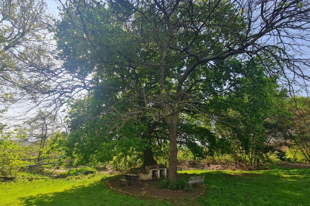 Photo of Others in Grabouw