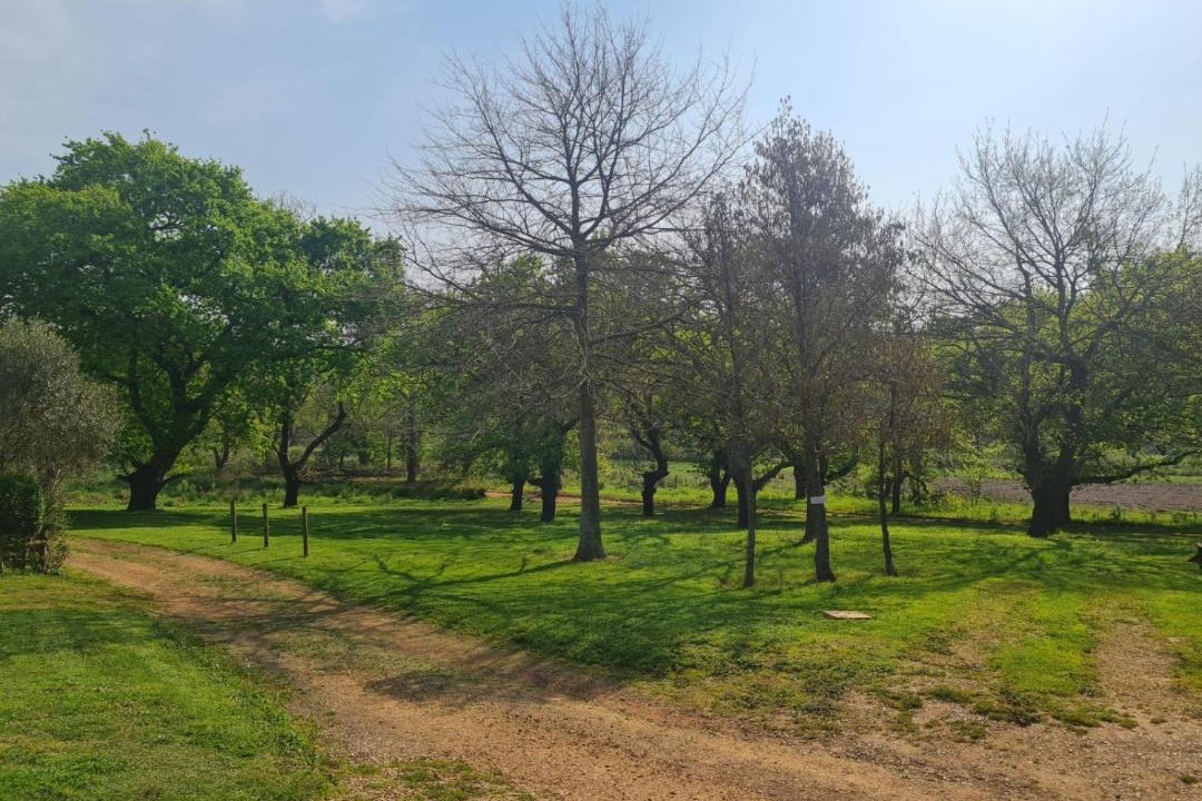 Photo of Others in Grabouw