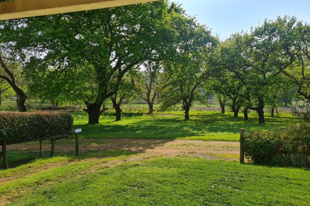 Photo of Others in Grabouw