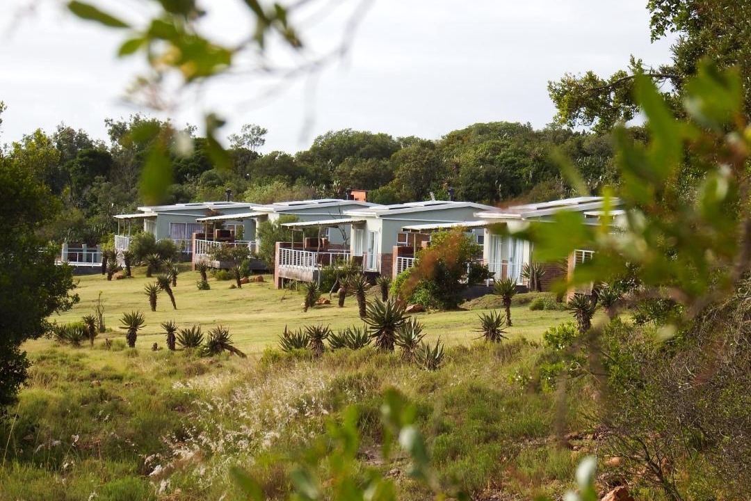 Photo of Buildings in Makana