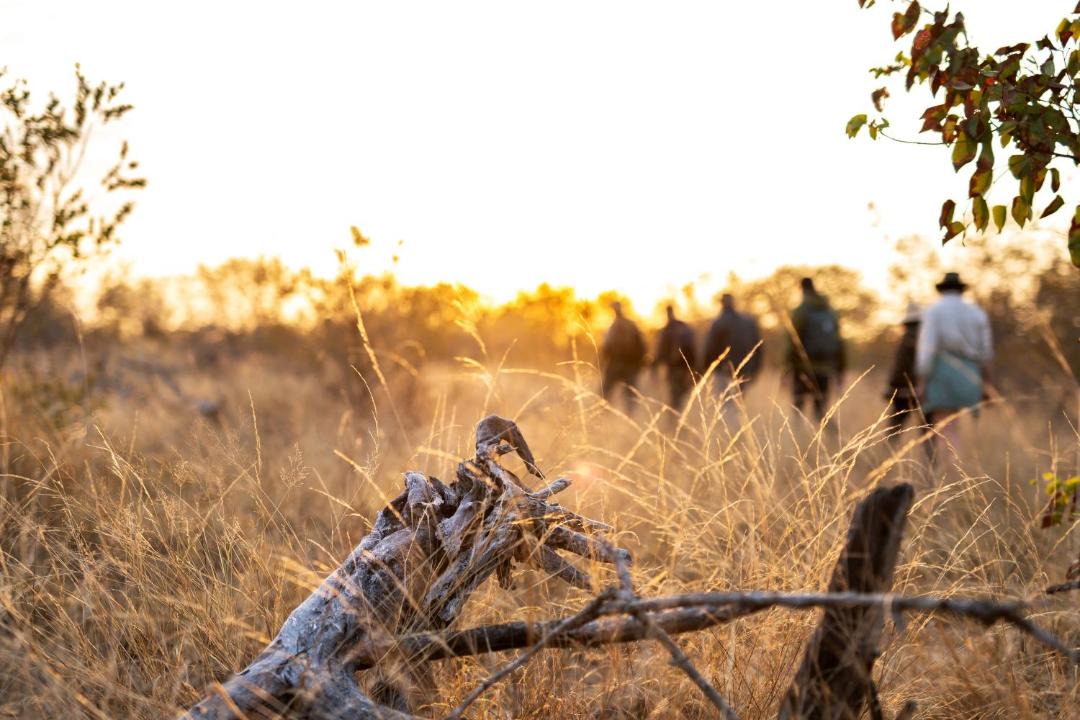 Photo of Others in Kruger National Park