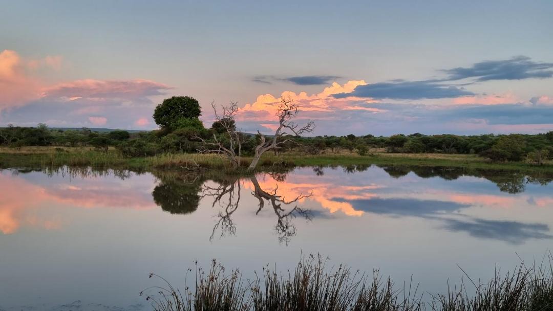 Photo of Others in Vaalwater