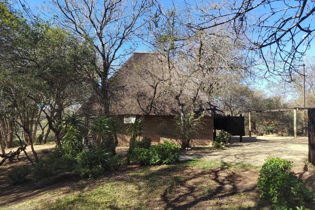 Photo of Others in Thorny Bush Game Reserve