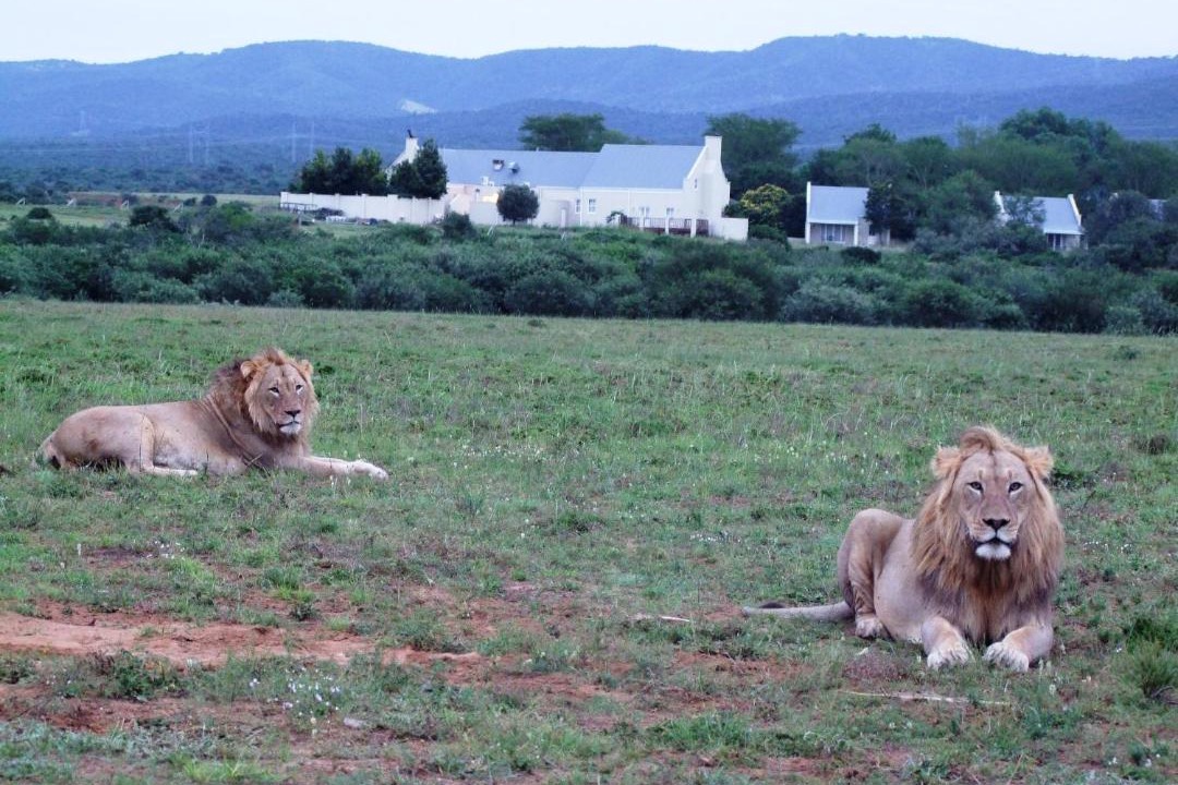 Photo of Others in Addo