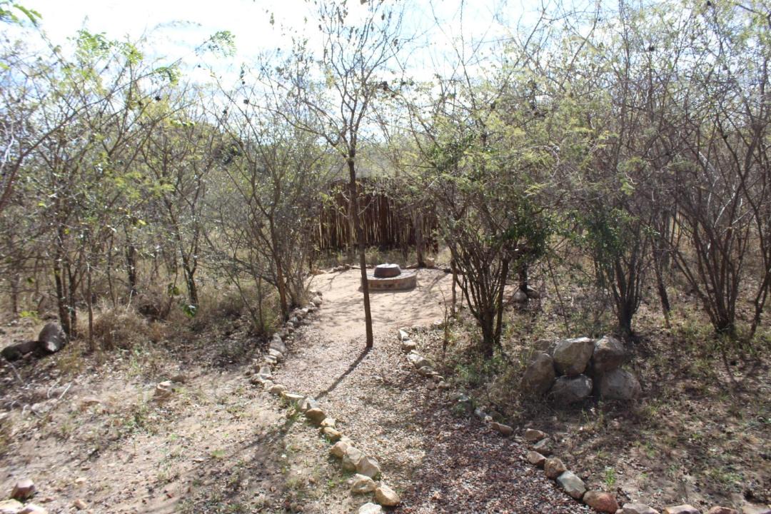 Photo of Others in Hectorspruit