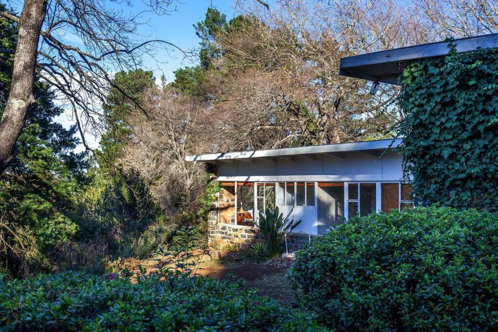 Photo of Buildings in Hogsback