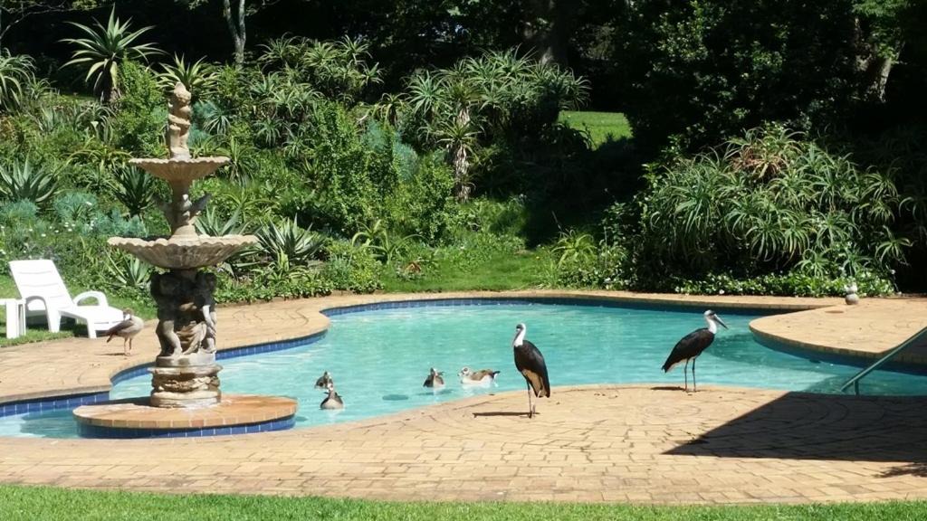 Photo of Others in Kloof