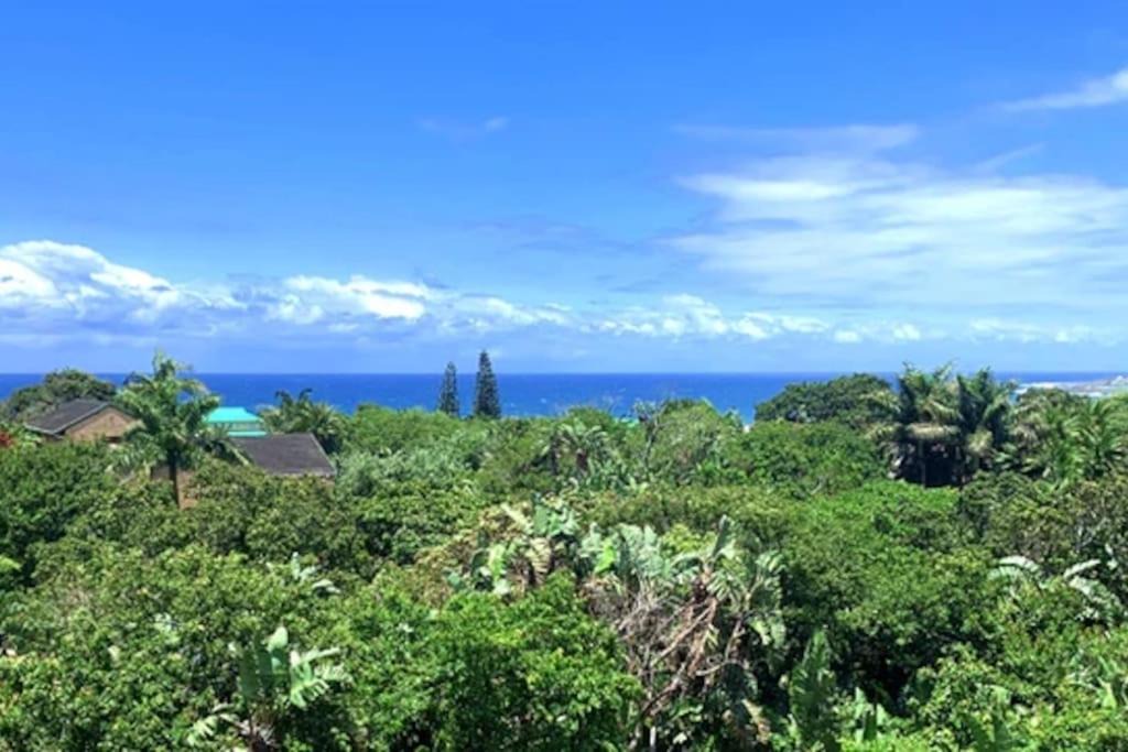 Photo of Outdoor in Port Edward