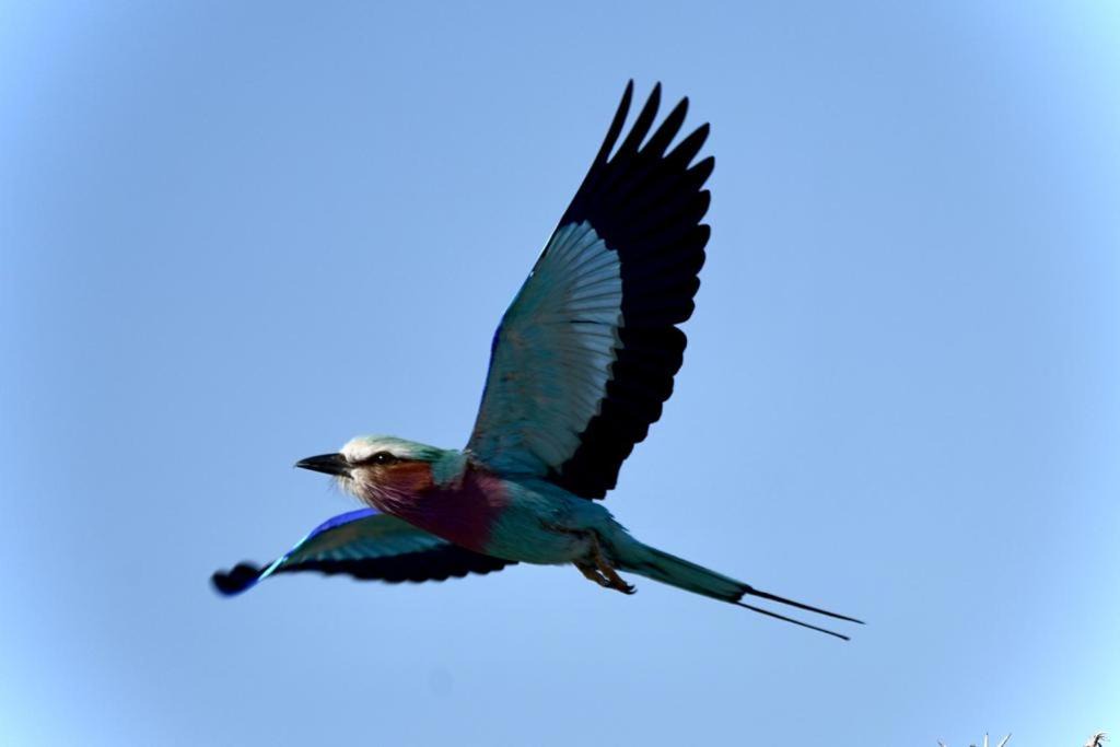 Photo of Others in Hammanskraal