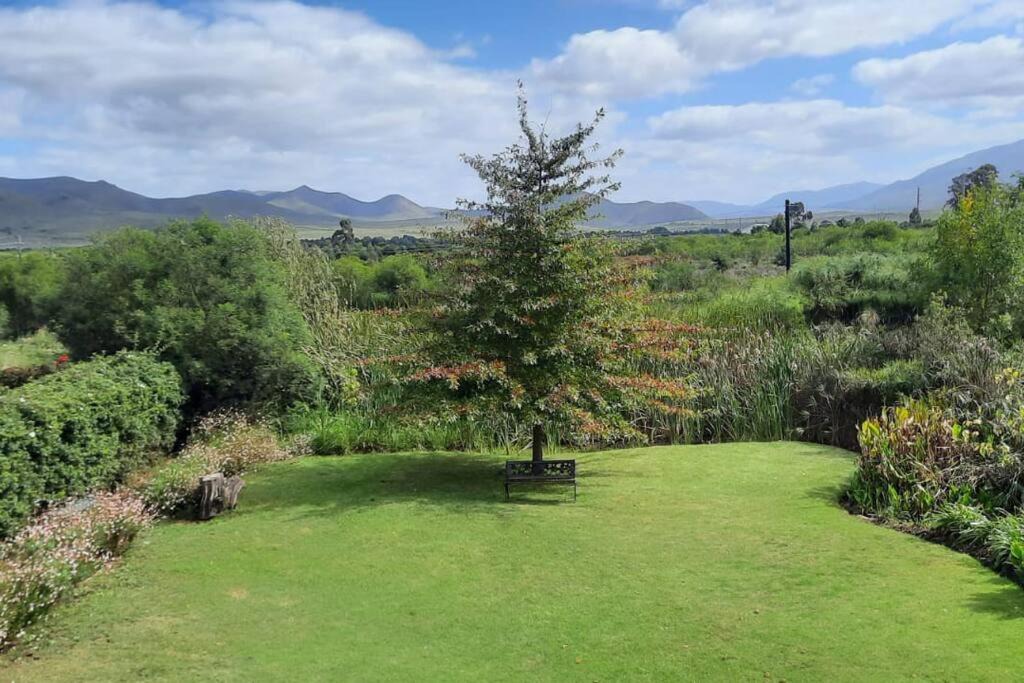 Photo of Others in Greyton