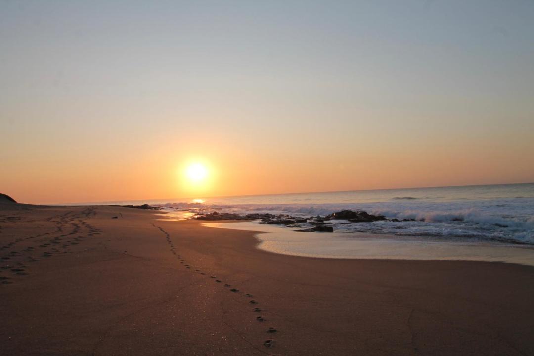 Photo of Others in Shelly Beach
