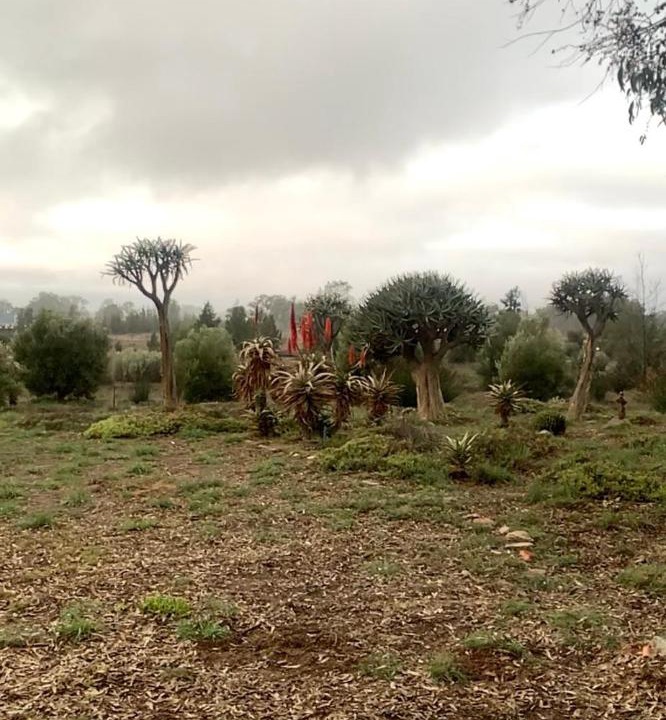 Photo of Others in Nieuwoudtville