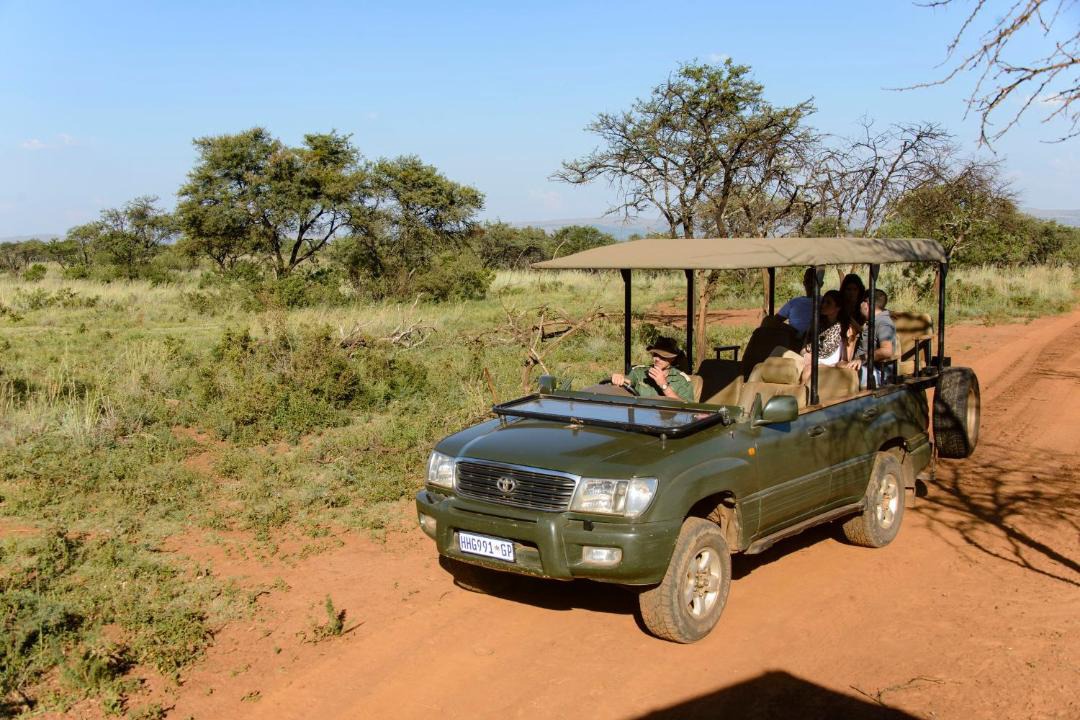Photo of Others in Magaliesberg