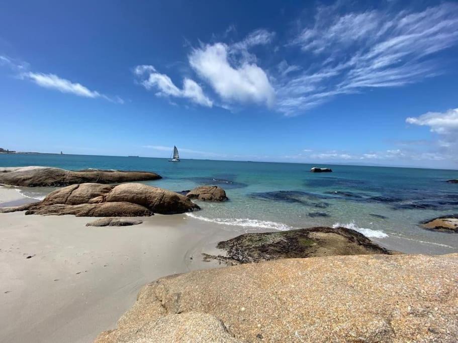 Photo of Others in Shelley Point