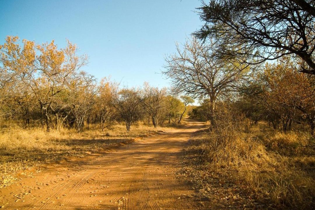 Photo of Others in Madibeng