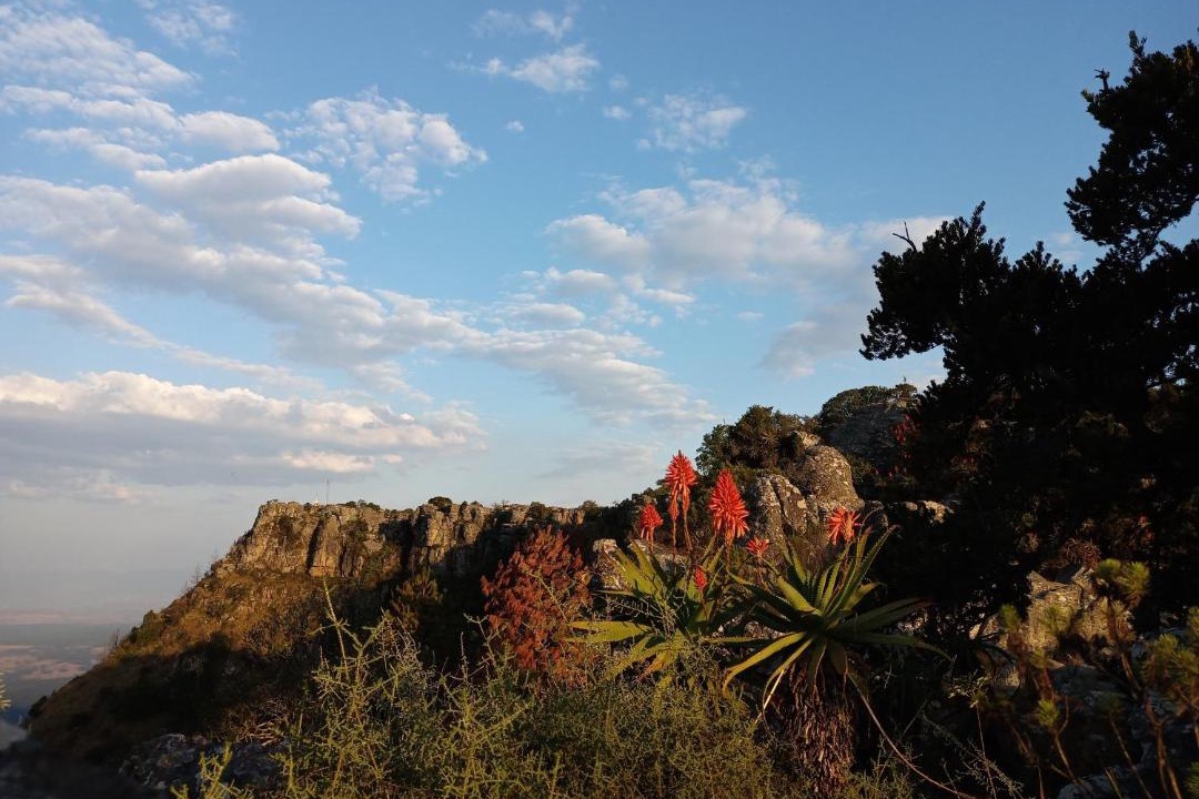 Photo of Others in Kaapsehoop