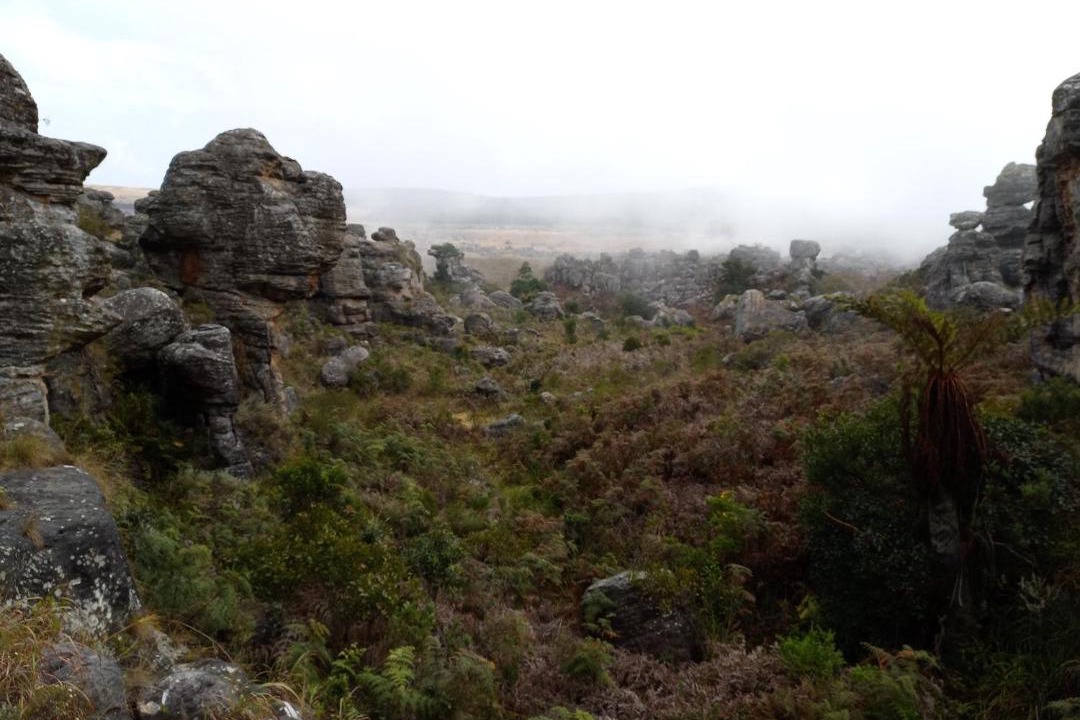 Photo of Others in Kaapsehoop