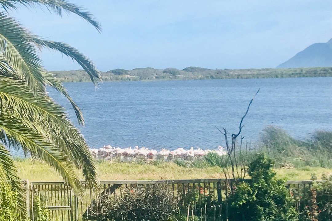 Photo of Outdoor in Kommetjie