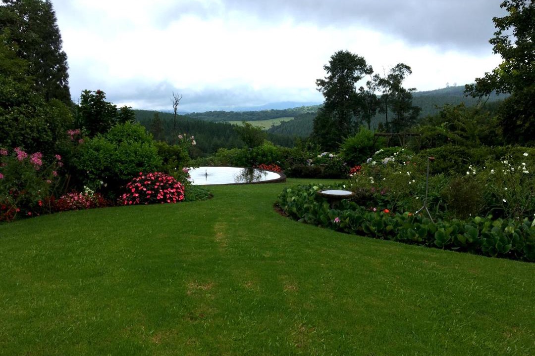 Photo of Others in Tzaneen
