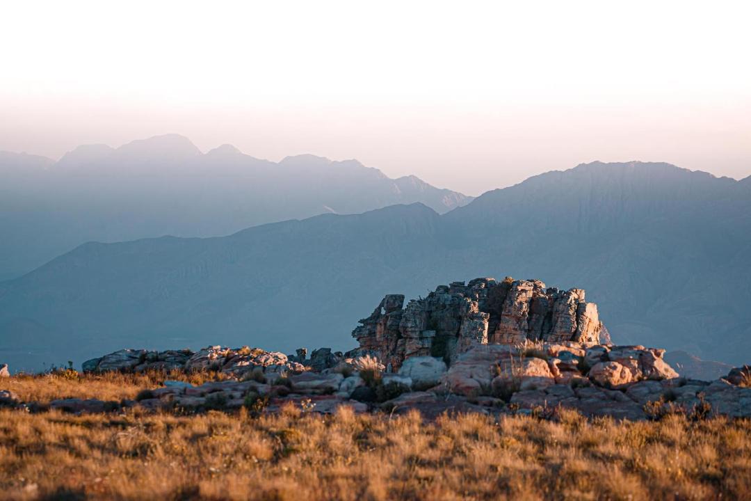 Photo of Others in Langeberg