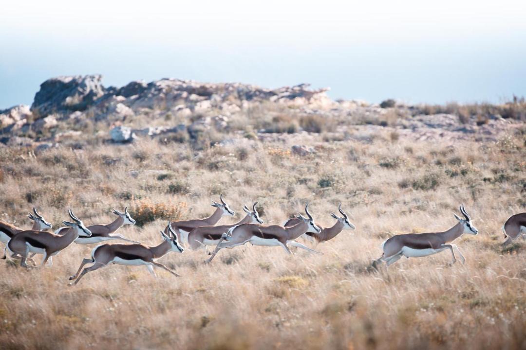 Photo of Others in Langeberg