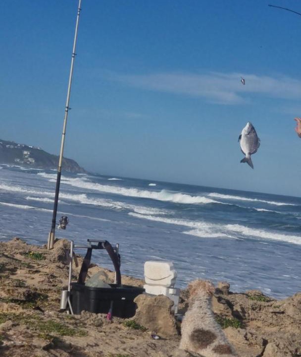 Photo of Others in Dana Bay