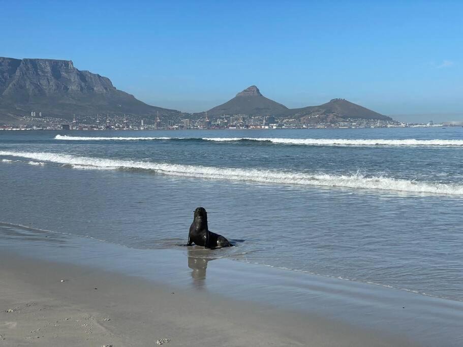 Photo of Others in Lagoon Beach