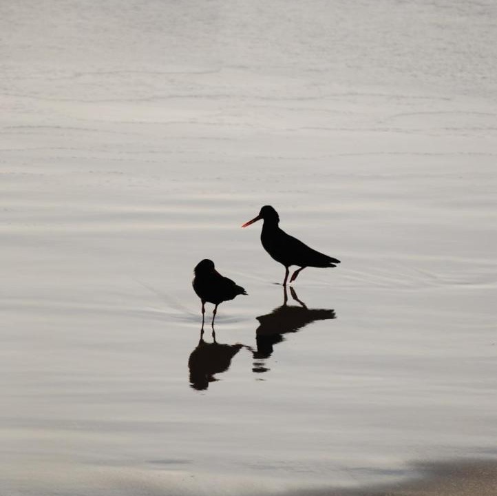 Photo of Others in Oyster Bay
