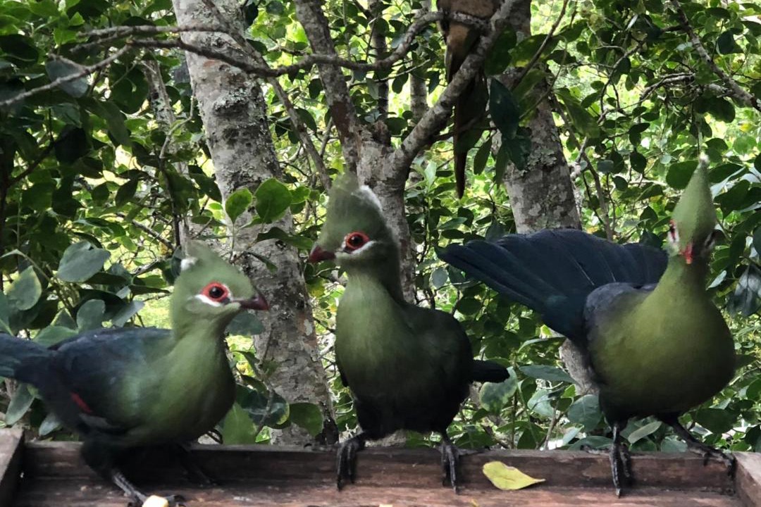 Photo of Others in Nature's Valley
