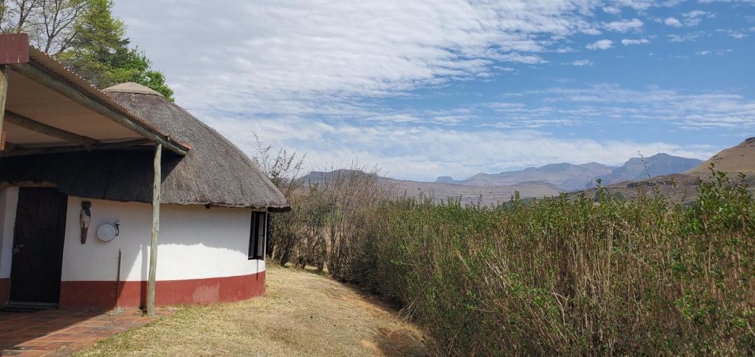 Photo of Others in Drakensberg Gardens