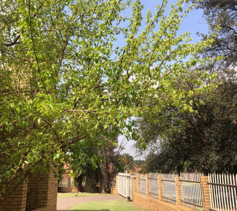 Photo of Others in Vanderbijlpark
