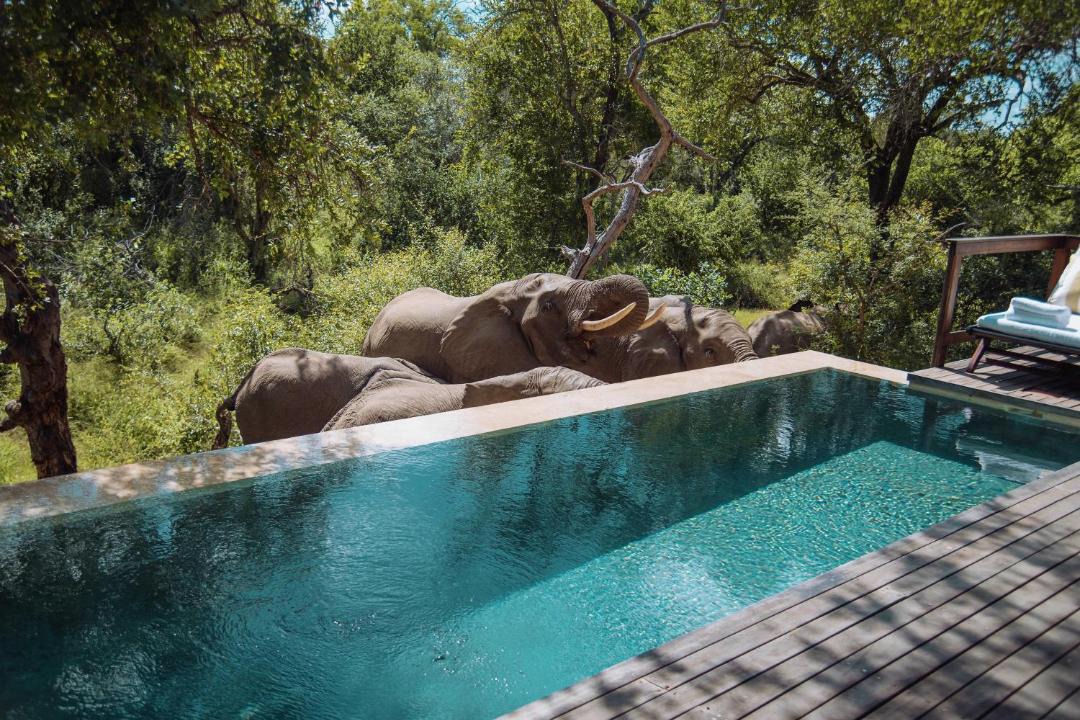 Photo of Others in Thorny Bush Game Reserve