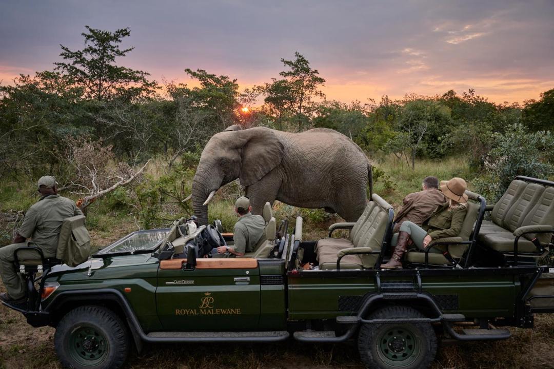 Photo of Others in Thorny Bush Game Reserve
