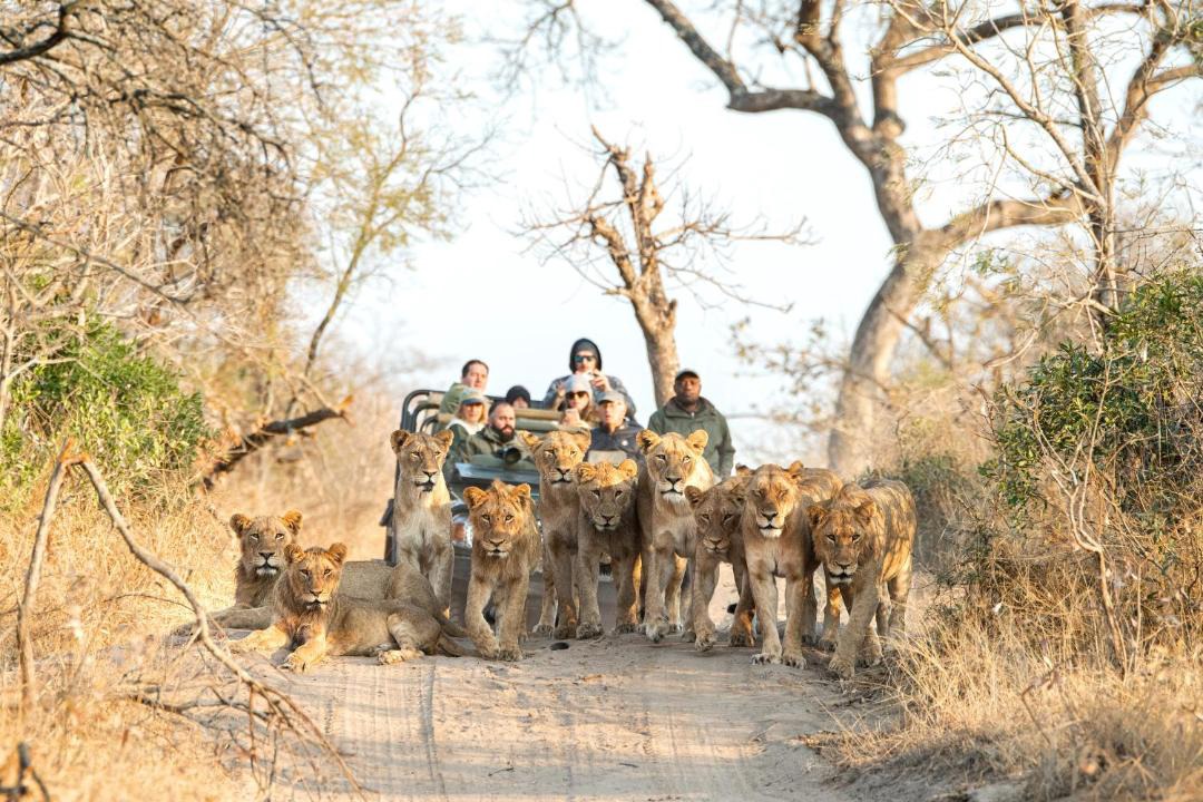 Photo of Others in Thorny Bush Game Reserve