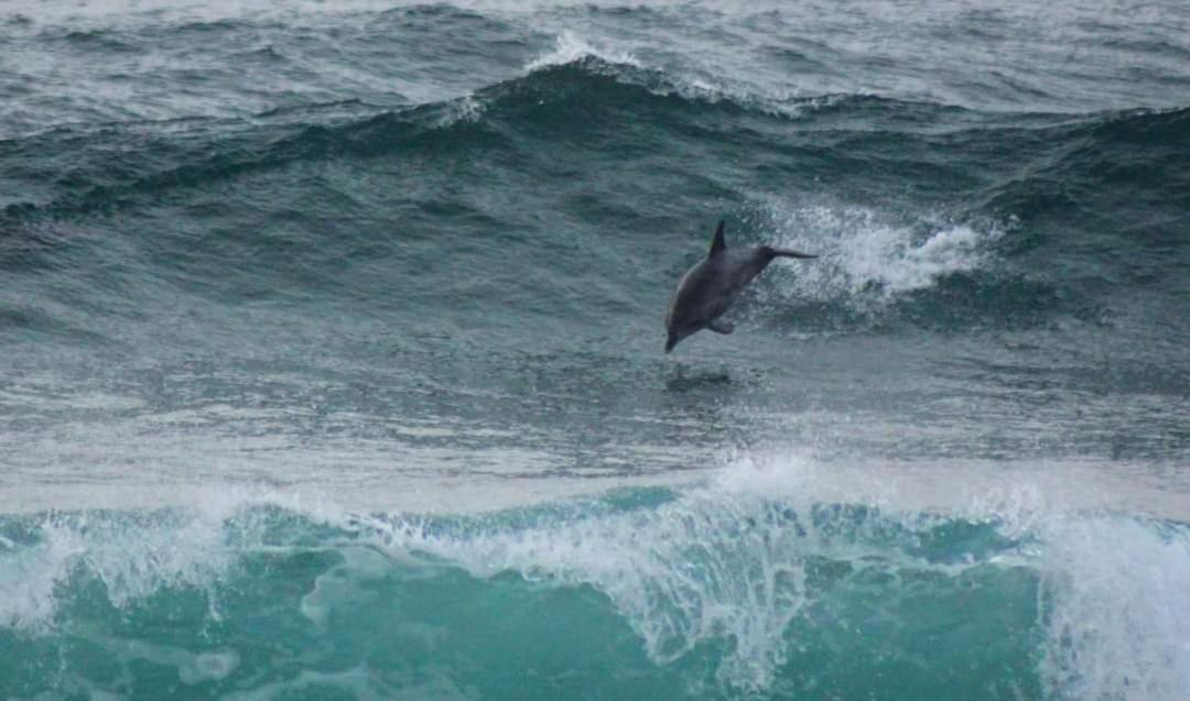 Photo of Human In Picture in Ramsgate Beach