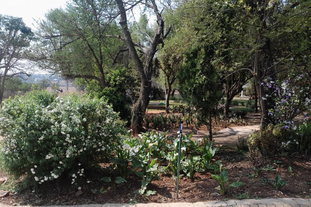 Photo of Outdoor in Lydenburg