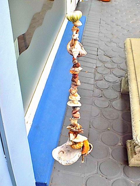 Photo of Others in Mossel Bay