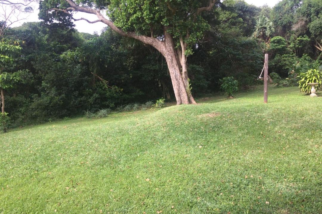 Photo of Others in Pennington
