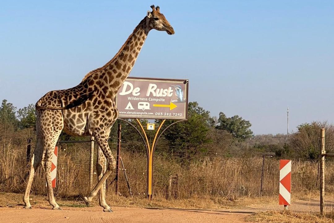 Photo of Others in Hammanskraal