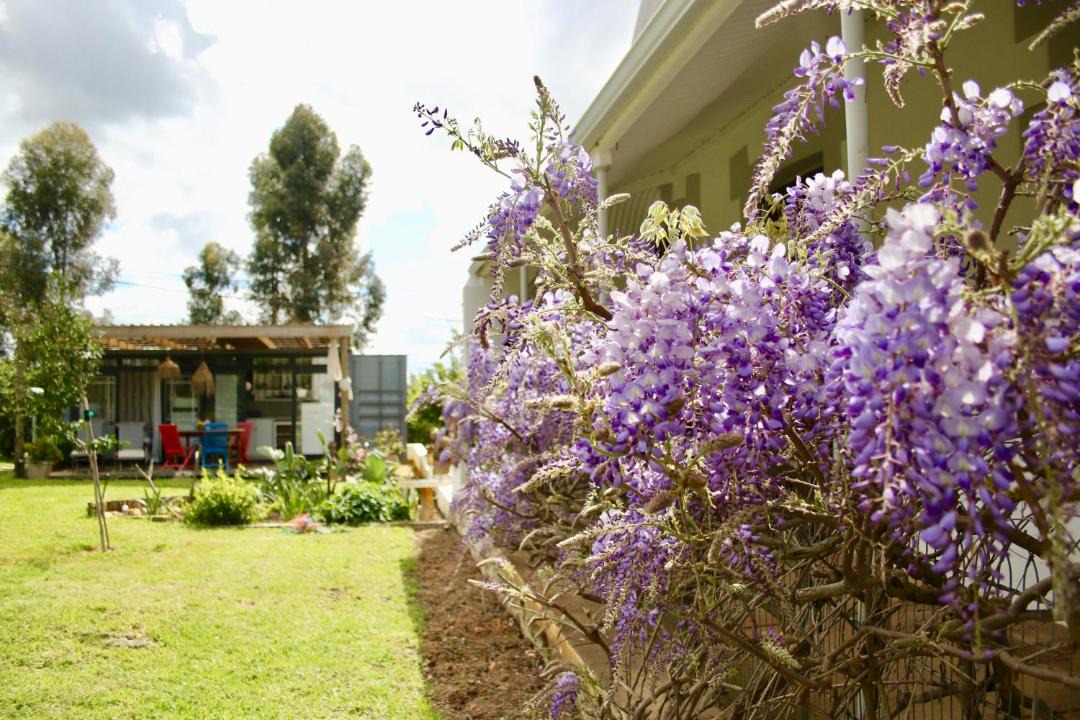 Photo of Buildings in Riebeeck West