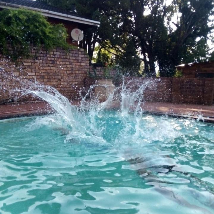 Photo of Others in Sabie