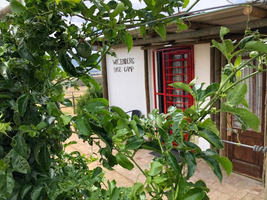 Photo of Buildings in Tulbagh