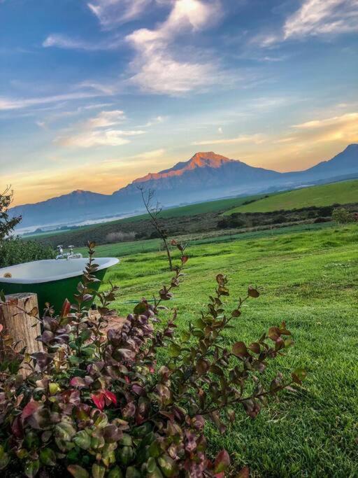 Photo of Outdoor in Tulbagh