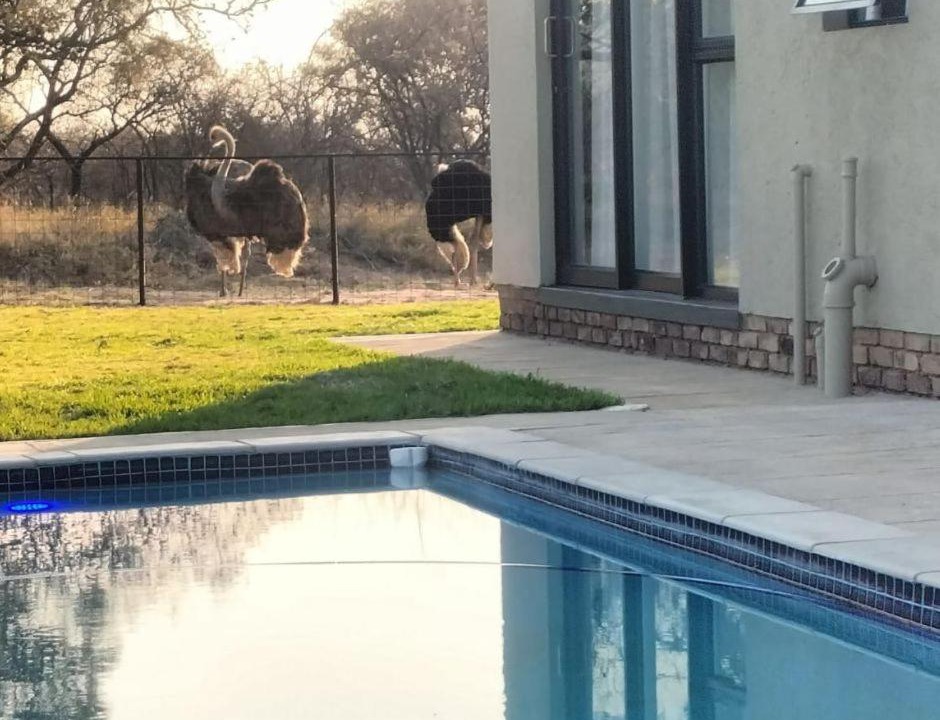 Photo of Outdoor in Mookgopong