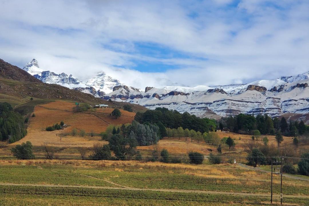 Photo of Others in Drakensberg Gardens