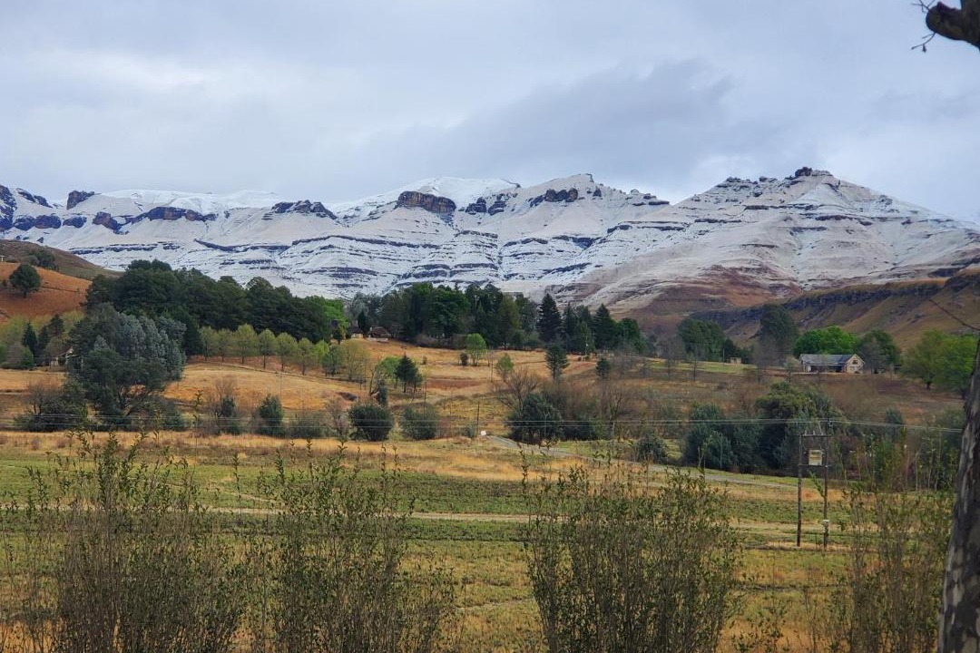 Photo of Others in Drakensberg Gardens