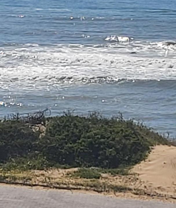 Photo of Others in Port Alfred